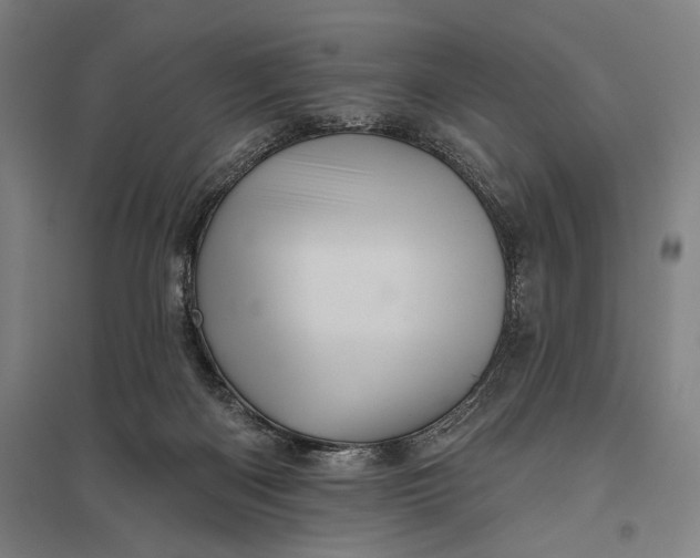 X0000097910122200803281411