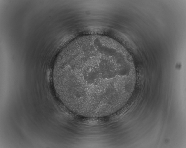 X0000097910123200803281411