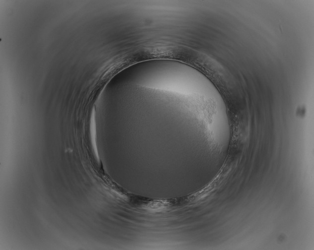 X0000097910124200803281411