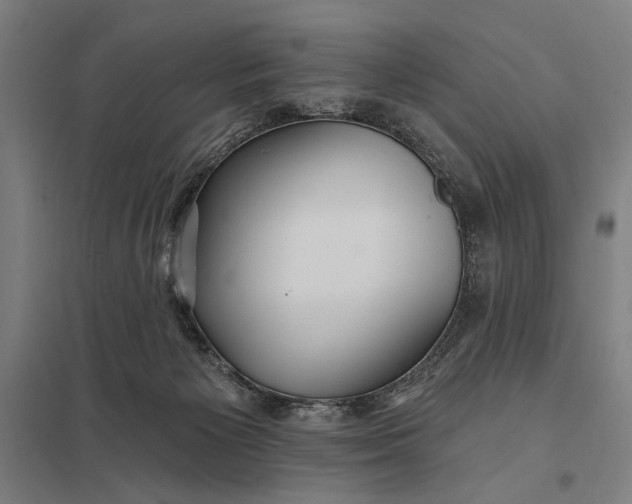 X0000097910125200803281411