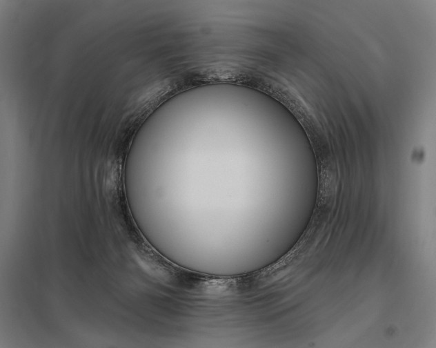 X0000097910126200803281411