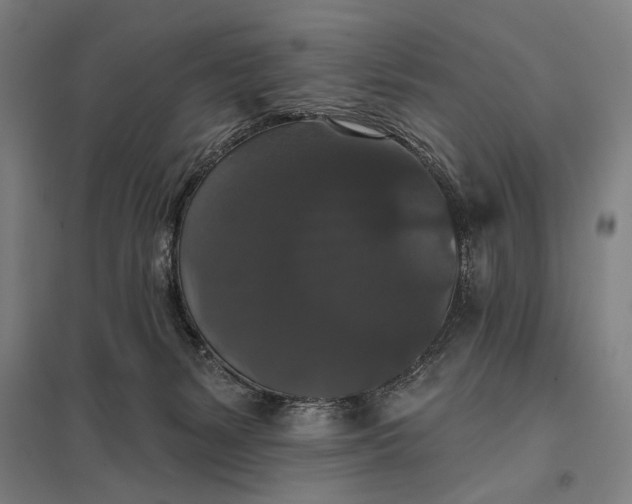 X0000097910127200803281411