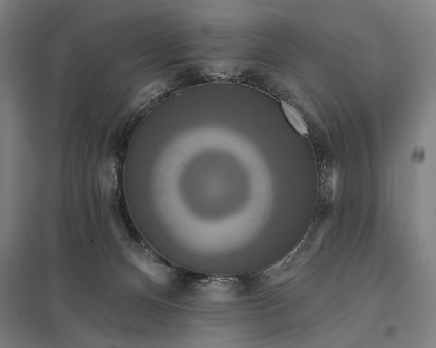 X0000097910128200803281411