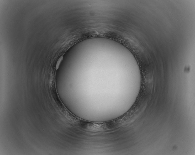 X0000097910129200803281411