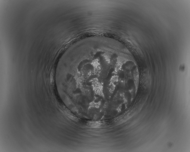 X0000097910131200803281411