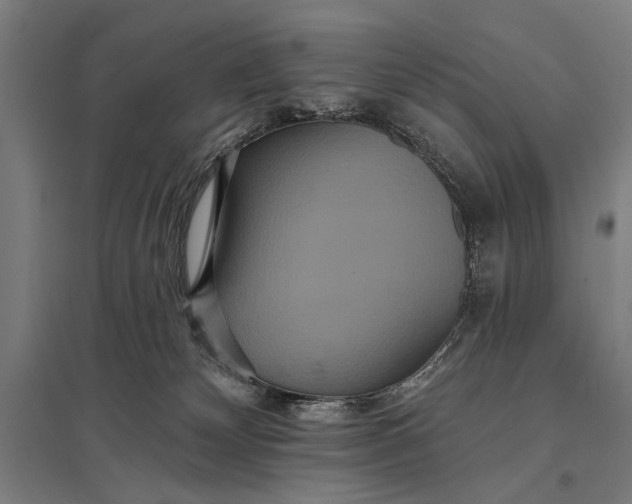 X0000097910132200803281411