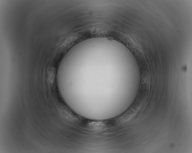 X0000097910133200803281411