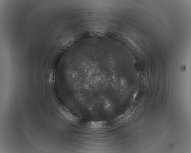 X0000097910134200803281411