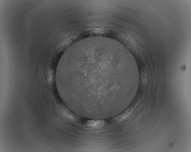 X0000097910135200803281411