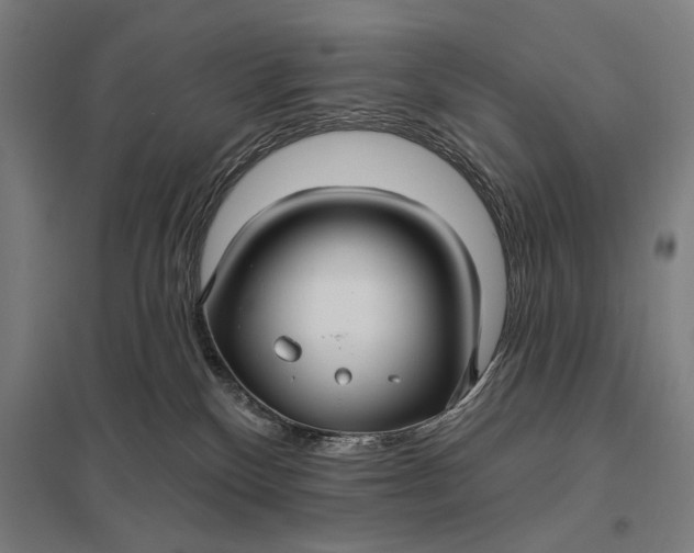 X0000097910136200803281411