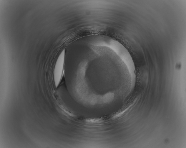 X0000097910137200803281411