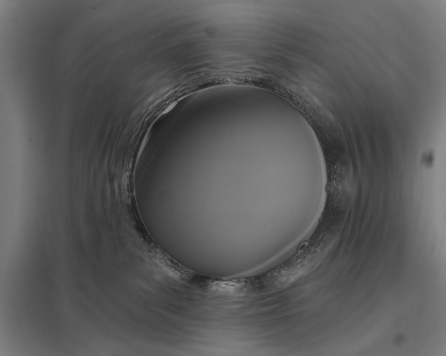 X0000097910139200803281411