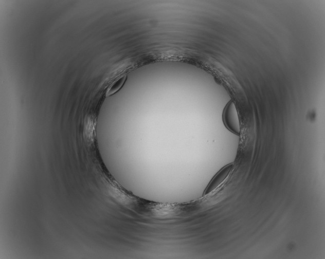 X0000097910142200803281411