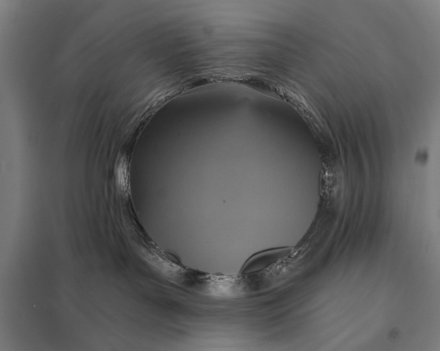 X0000097910143200803281411