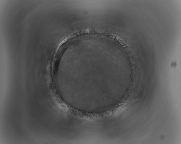 X0000097910144200803281411