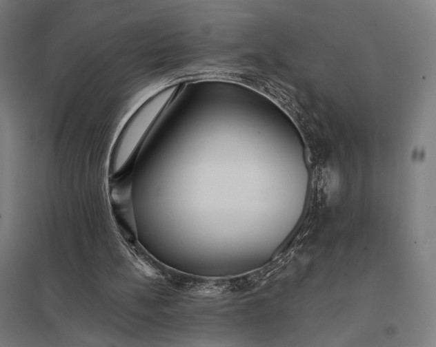 X0000097910148200803281410