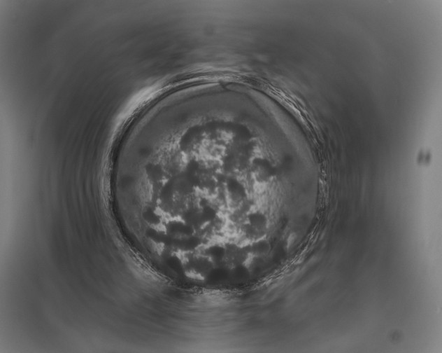 X0000097910149200803281410