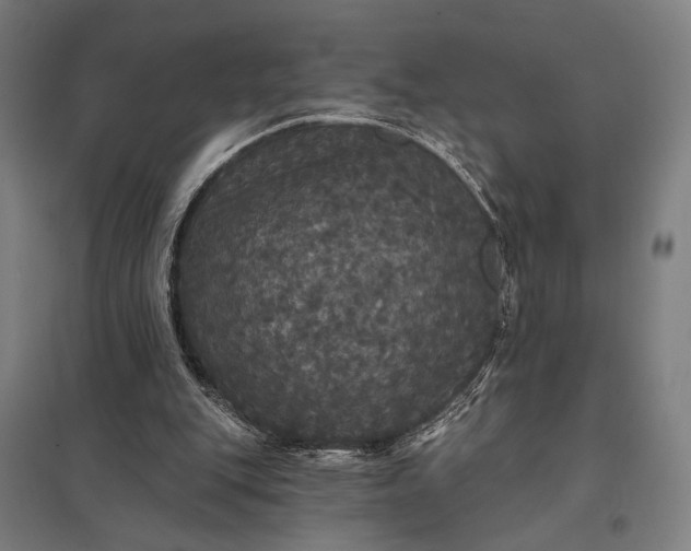 X0000097910151200803281410