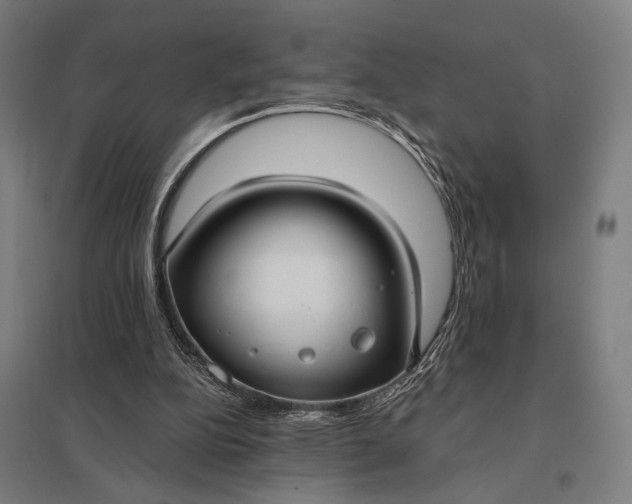 X0000097910152200803281410