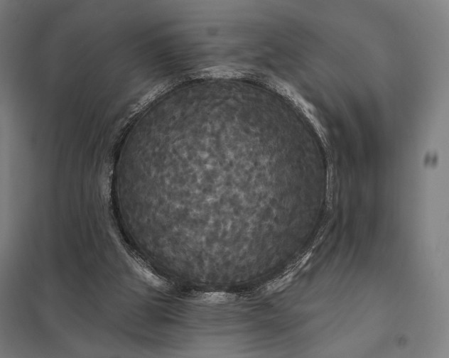 X0000097910153200803281410