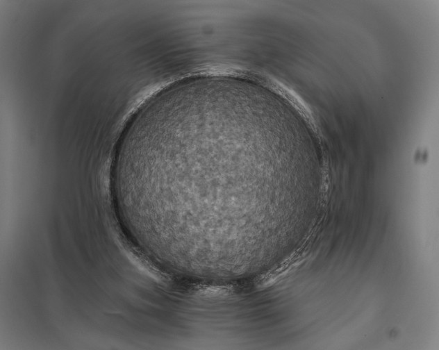 X0000097910155200803281410