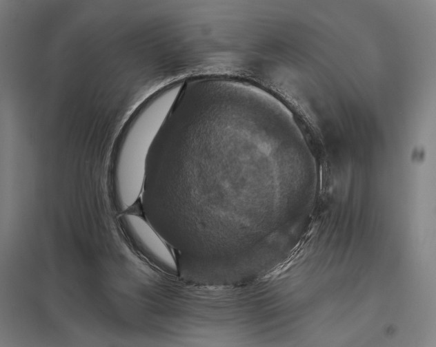 X0000097910156200803281410