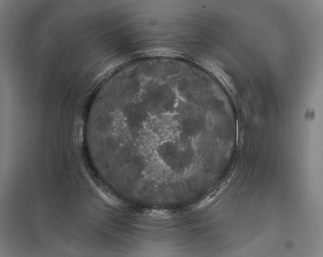 X0000097910157200803281410