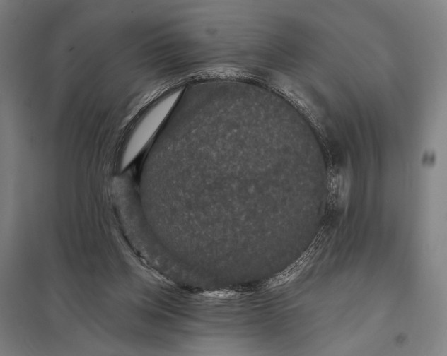 X0000097910158200803281411