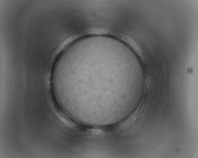 X0000097910159200803281411