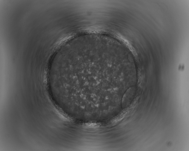 X0000097910161200803281411