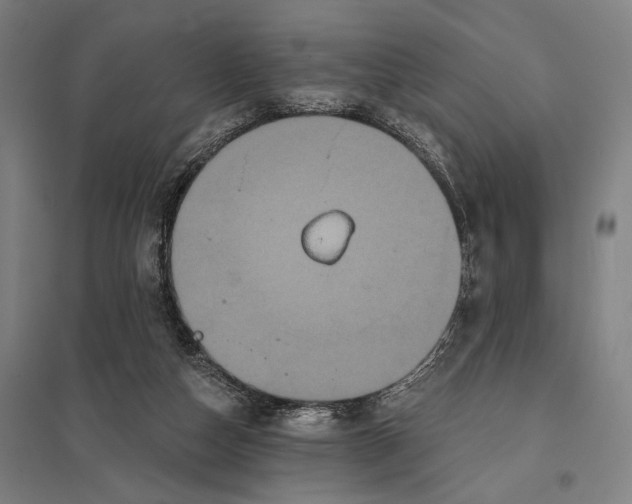 X0000097910162200803281411