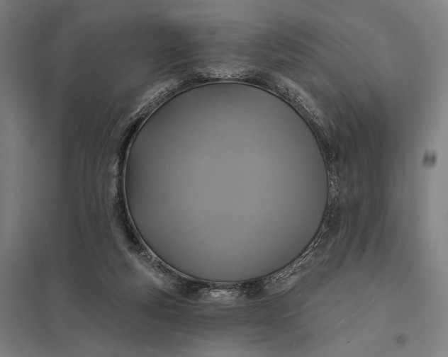 X0000097910163200803281411