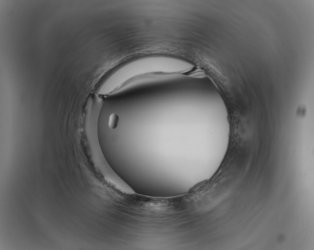 X0000097910164200803281411