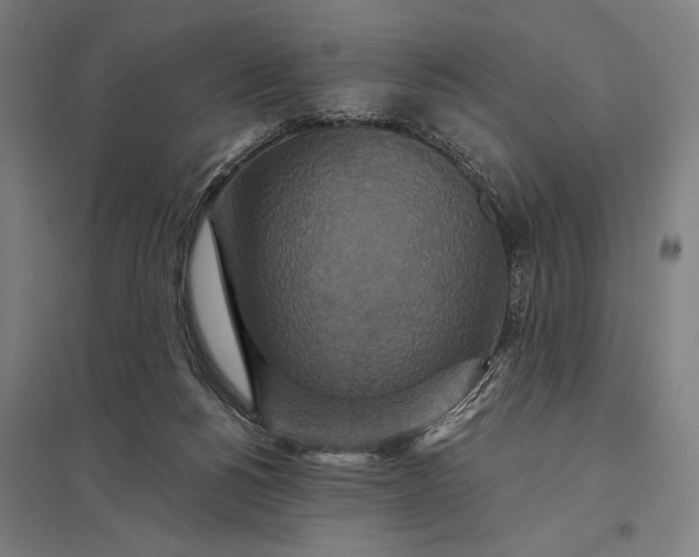 X0000097910168200803281411