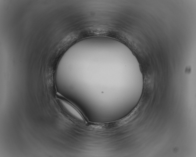 X0000097910170200803281411