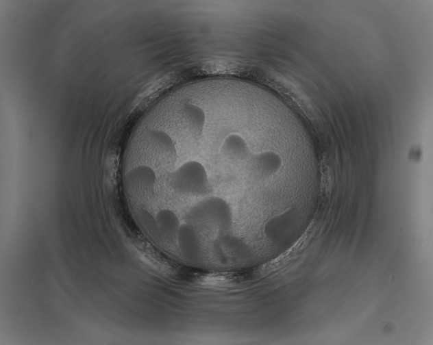 X0000097910171200803281411