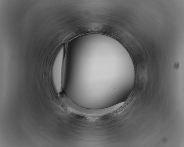 X0000097910172200803281411