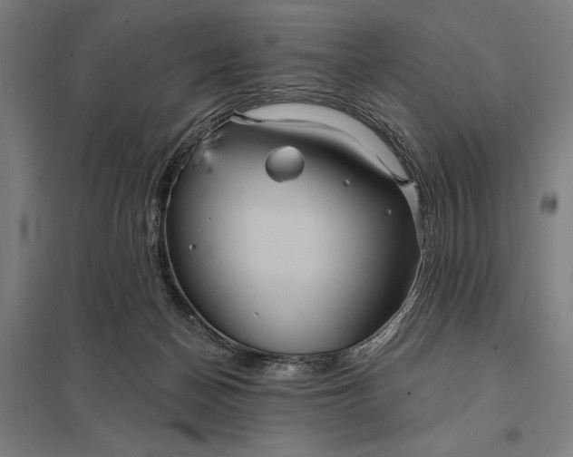 X0000097910174200803281411