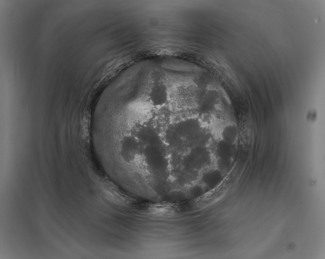 X0000097910175200803281411