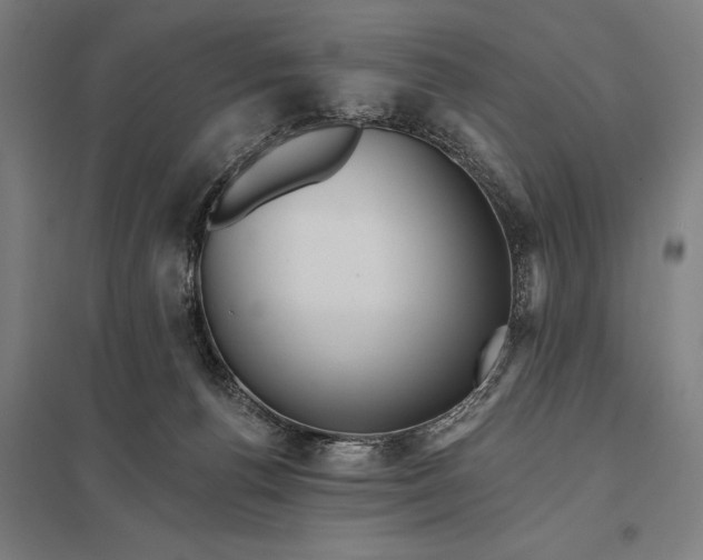 X0000097910176200803281411