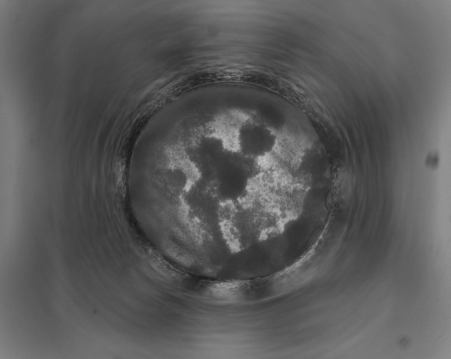 X0000097910178200803281411