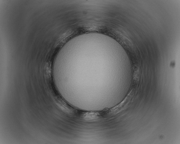 X0000097910179200803281411