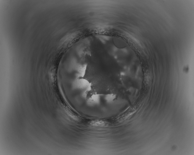 X0000097910181200803281411