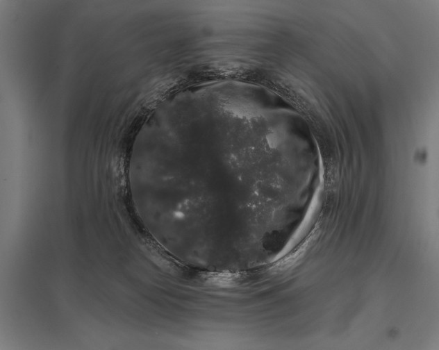 X0000097910182200803281411