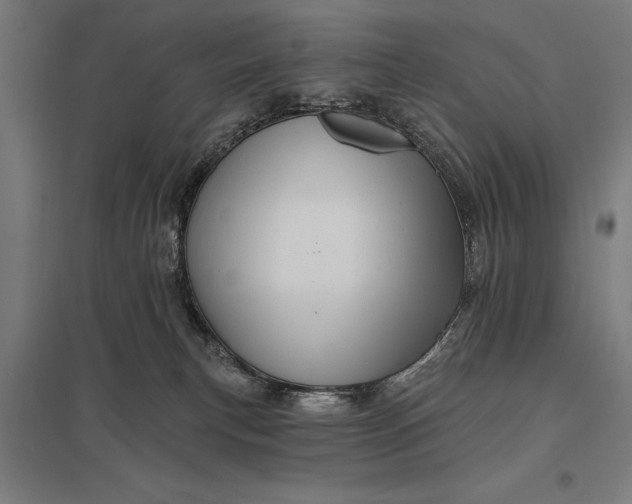 X0000097910183200803281411