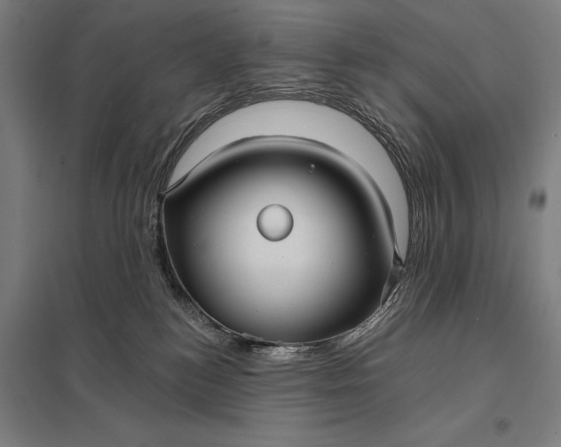 X0000097910184200803281411