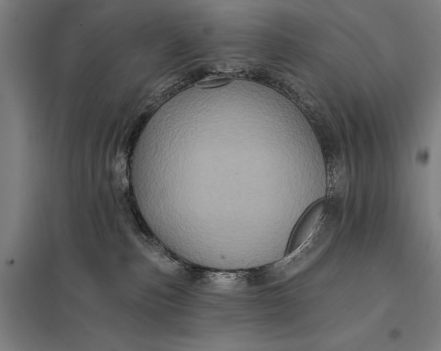 X0000097910187200803281411