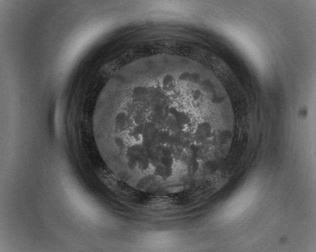 X0000097910189200803281411