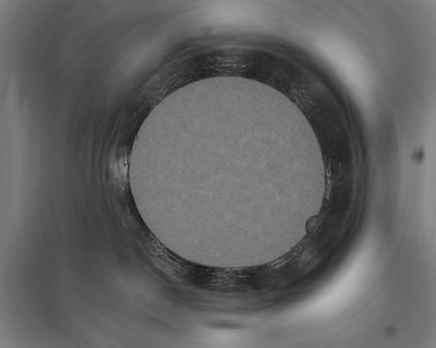 X0000097910190200803281411