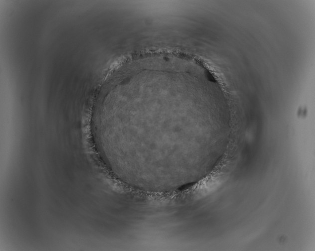 X0000097910192200803281411